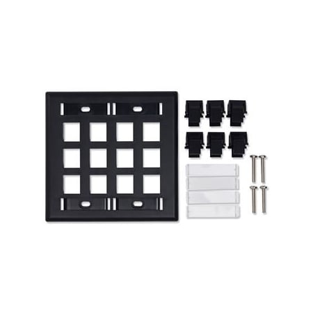 Belden 12-PORT FACEPLATE DOUBLE GANG, KEYCONECT W/ID WINDOWS AX102257